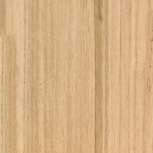Blackbutt