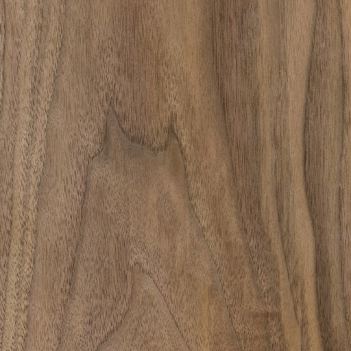 American Walnut