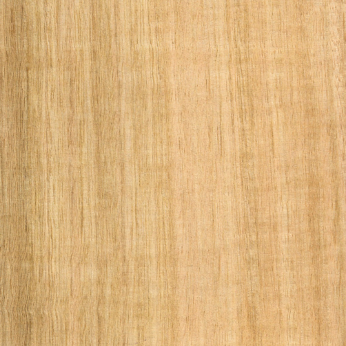 Tasmanian Oak